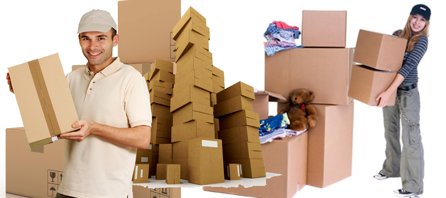paradise-packers-movers-and-movers