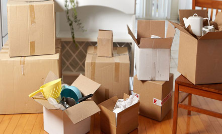 Movers Packers Services